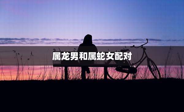 属龙男和属蛇女配对