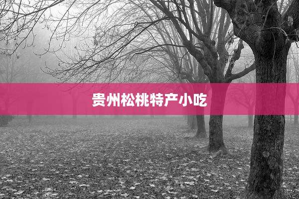 贵州松桃特产小吃