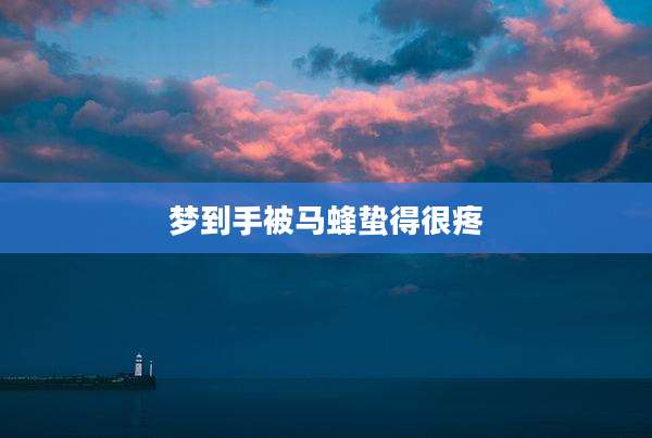梦到手被马蜂蛰得很疼