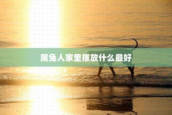 属兔人家里摆放什么最好