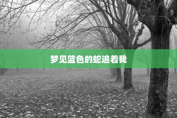 梦见蓝色的蛇追着我