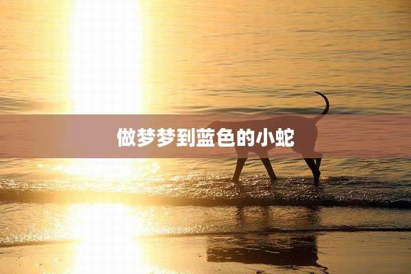 做梦梦到蓝色的小蛇
