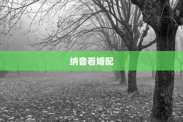 纳音看婚配