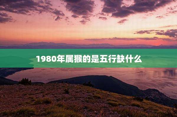 1980年属猴的是五行缺什么