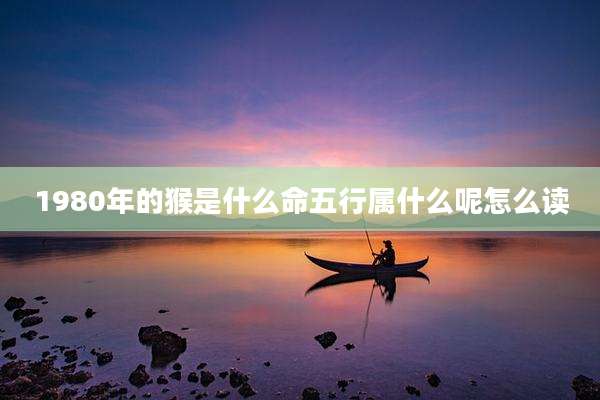 1980年的猴是什么命五行属什么呢怎么读