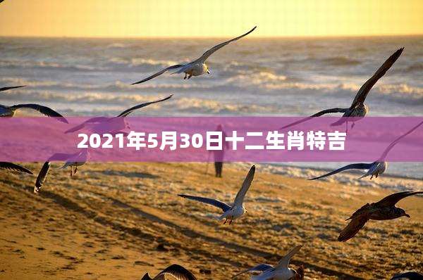 2021年5月30日十二生肖特吉