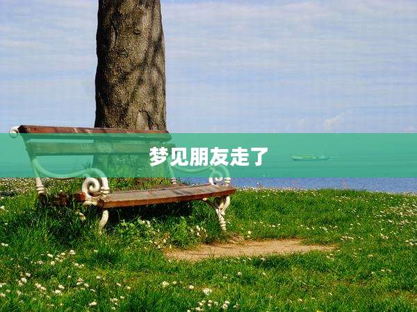 梦见朋友走了