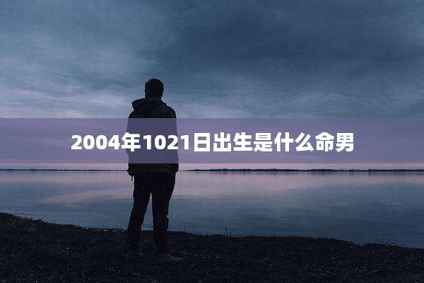 2004年1021日出生是什么命男