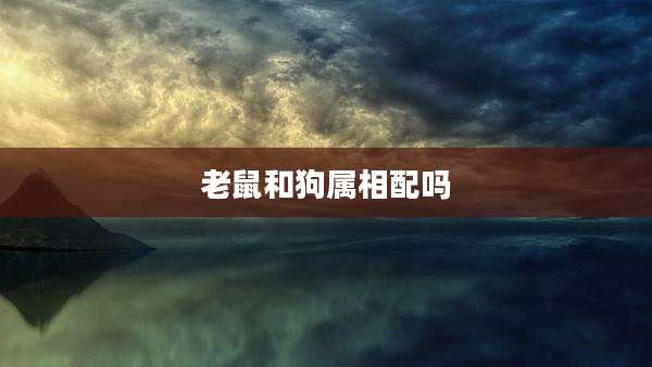老鼠和狗属相配吗