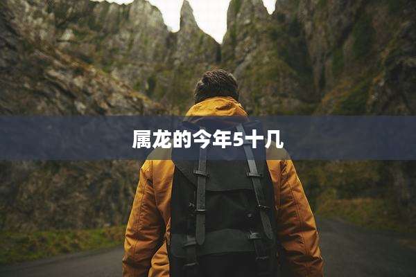 属龙的今年5十几