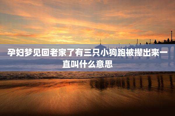 孕妇梦见回老家了有三只小狗跑被撵出来一直叫什么意思