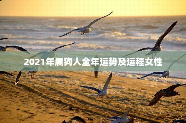 2021年属狗人全年运势及运程女性
