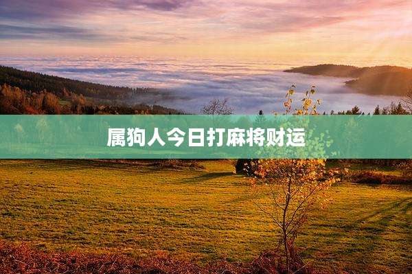 属狗人今日打麻将财运