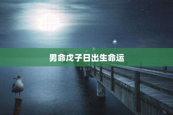 男命戊子日出生命运