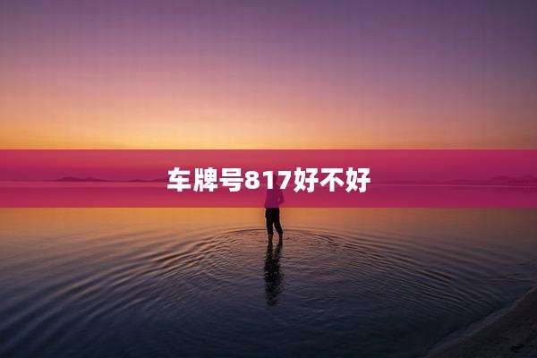 车牌号817好不好