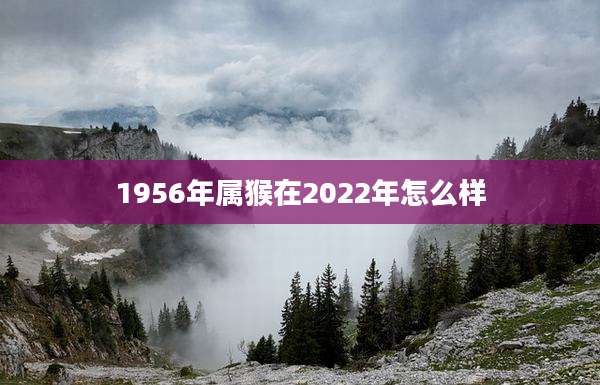 1956年属猴在2022年怎么样