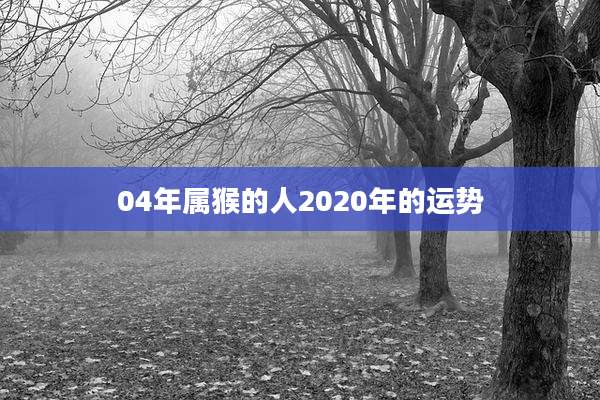 04年属猴的人2020年的运势