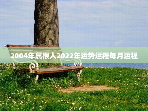 2004年属猴人2022年运势运程每月运程