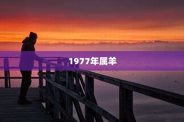 1977年属羊