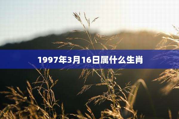 1997年3月16日属什么生肖