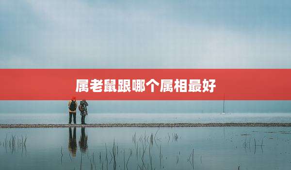 属老鼠跟哪个属相最好