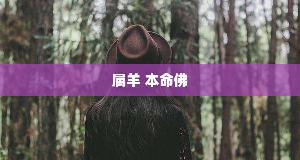 属羊 本命佛