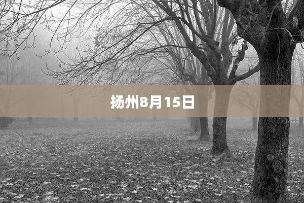扬州8月15日