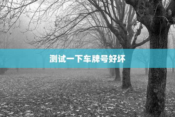 测试一下车牌号好坏