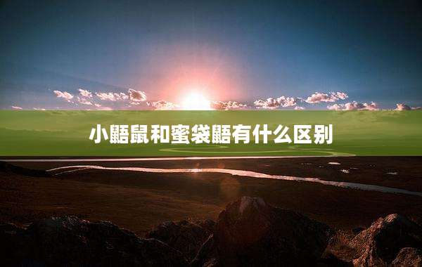小鼯鼠和蜜袋鼯有什么区别
