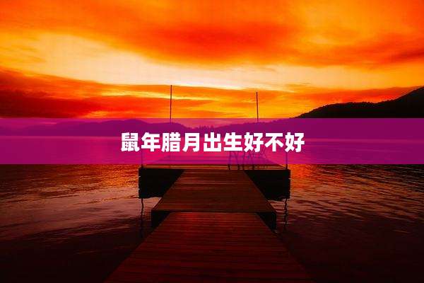 鼠年腊月出生好不好