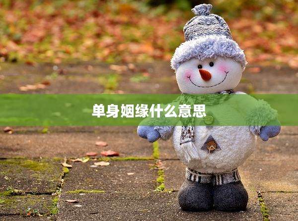 单身姻缘什么意思