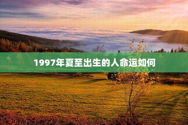 1997年夏至出生的人命运如何