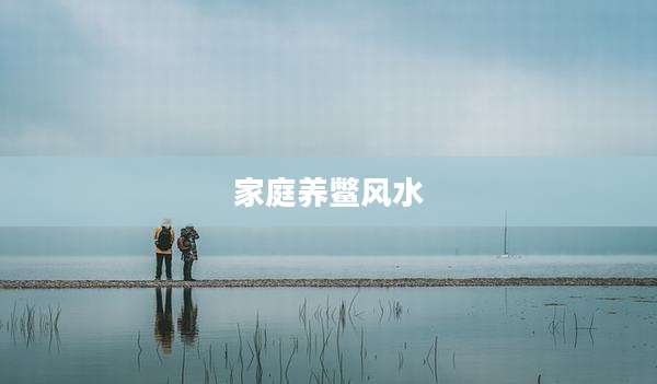 家庭养鳖风水