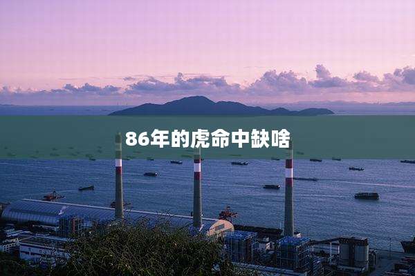 86年的虎命中缺啥