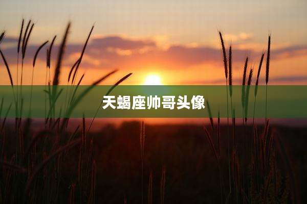 天蝎座帅哥头像