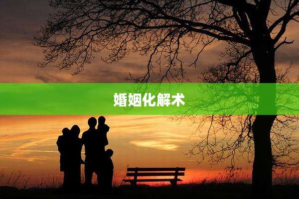 婚姻化解术