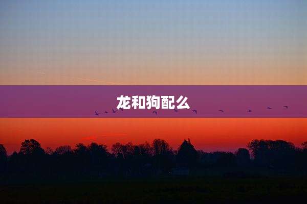 龙和狗配么