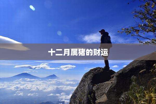 十二月属猪的财运