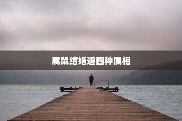 属鼠结婚避四种属相