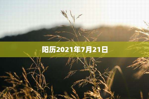 阳历2021年7月21日