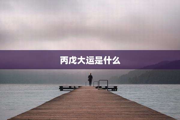 丙戊大运是什么
