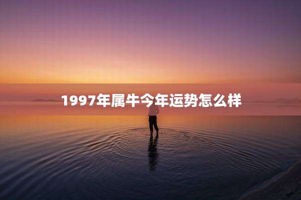 1997年属牛今年运势怎么样