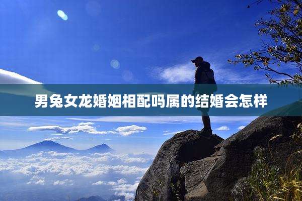 男兔女龙婚姻相配吗属的结婚会怎样
