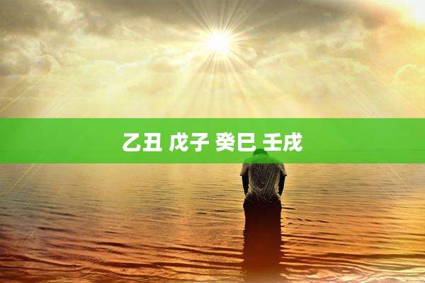 乙丑 戊子 癸巳 壬戌