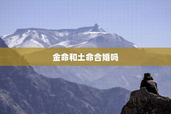 金命和土命合婚吗