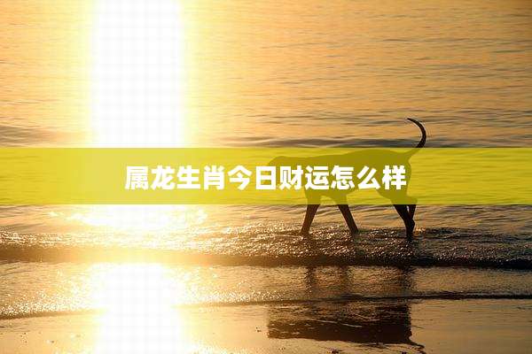 属龙生肖今日财运怎么样
