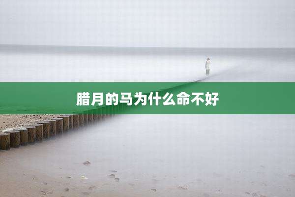 腊月的马为什么命不好