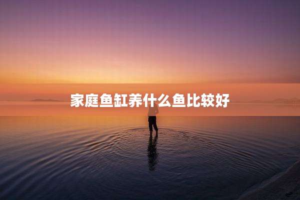 家庭鱼缸养什么鱼比较好