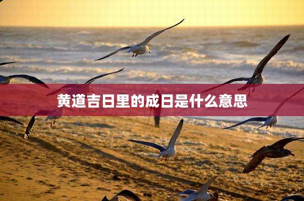 黄道吉日里的成日是什么意思