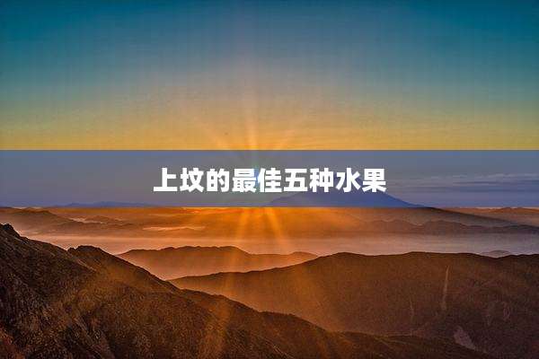 上坟的最佳五种水果